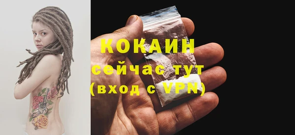 a pvp Богданович